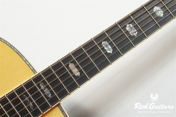 D-41 Standard